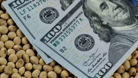 “Timba” para rato: Los empresarios agropecuarios con buena gestión financiera siguen obteniendo grandes ventajas por factores ajenos a la producción