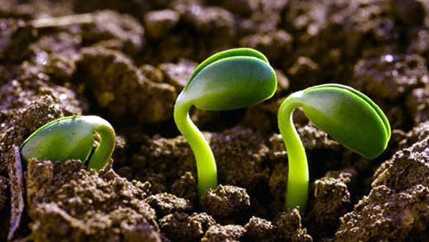 Reunión de la Mesa de Producción Orgánica y Agroecológica