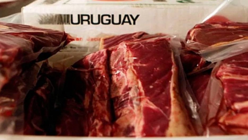 Uruguay: la carne vacuna dinamiza el comercio exterior