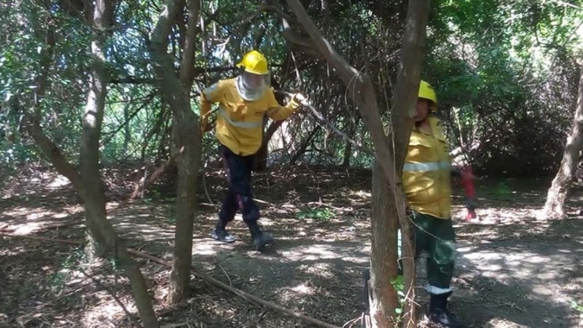 Se controlaron diversos incendios forestales en la provincia