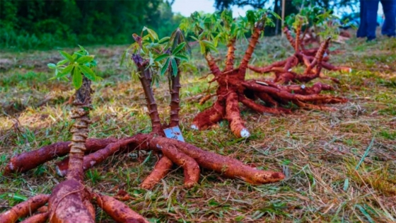 INTA y Fundación Banco Credicoop impulsan la agricultura regenerativa