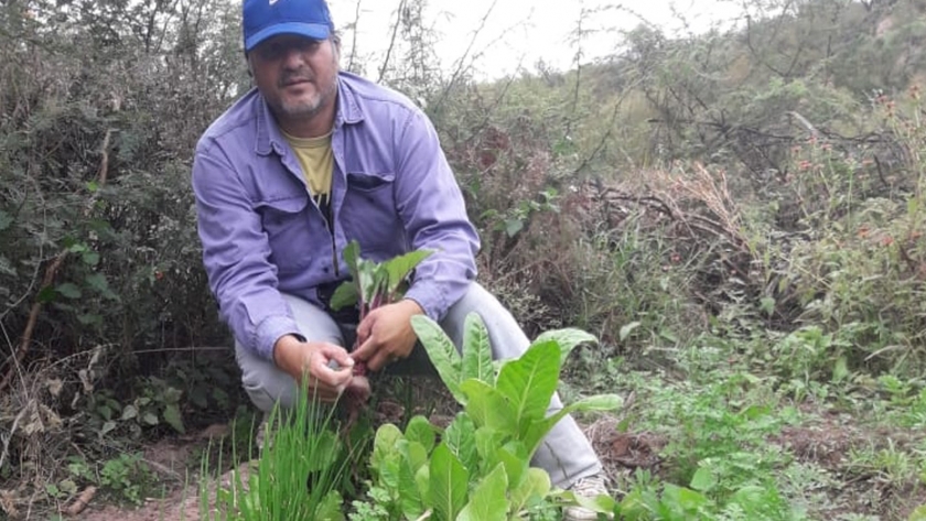 Saberes de la tierra: huertas con historias