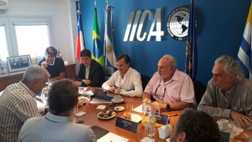 Acuerdo de Cooperación entre el Ministro de Agricultura, Ganadería y Pesca de Argentina y el Director General del IICA