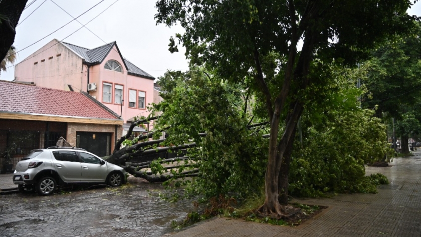 La Ciudad estableció un subsidio para los damnificados por el temporal