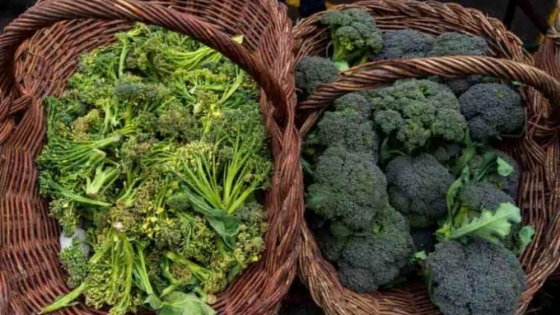 Diferencias y similitudes entre el bimi y el brócoli