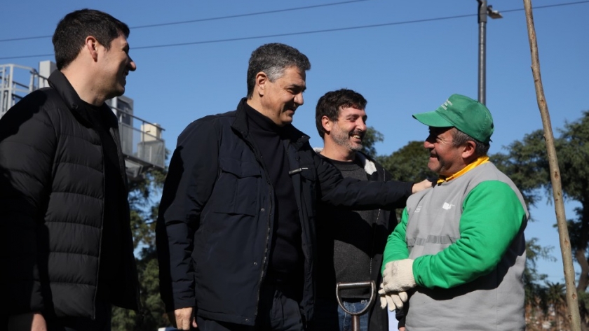 Tras el devastador temporal de diciembre, se plantará un 50 por ciento más de árboles que el año pasado