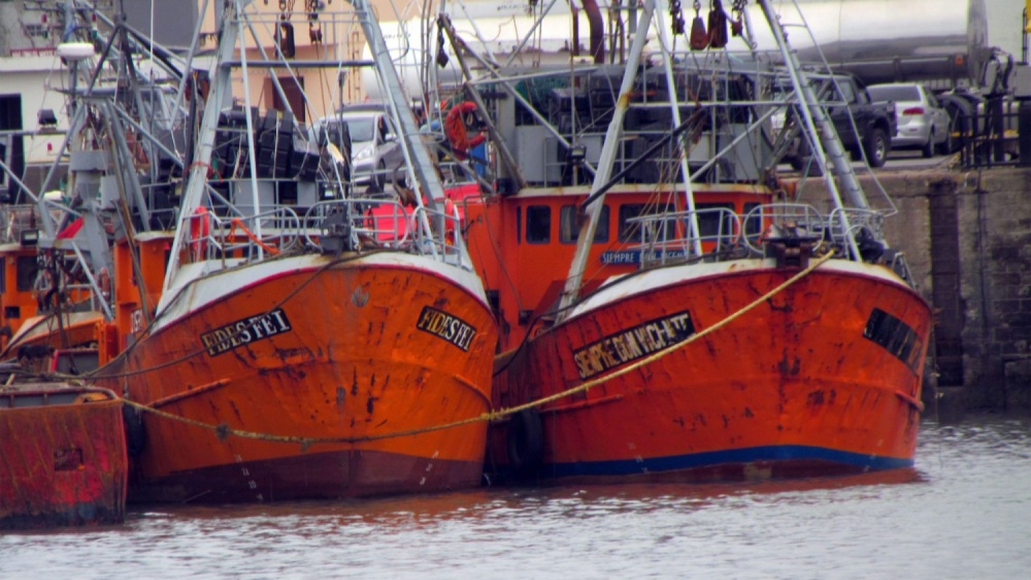 La pesca argentina cerró 2025 con su segundo mayor ingreso histórico por exportaciones