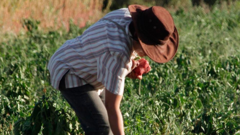 Buenos Aires incorpora 140 facilitadores para promover la agroecología