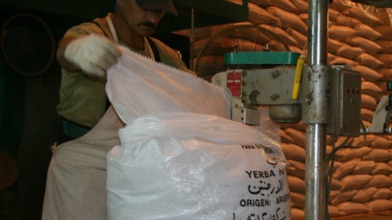 La yerba mate consolida su expansión: exportaciones récord y mayor consumo interno