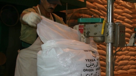 La yerba mate consolida su expansión: exportaciones récord y mayor consumo interno