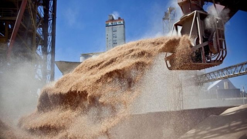El agregado de valor y la harina de soja argentina