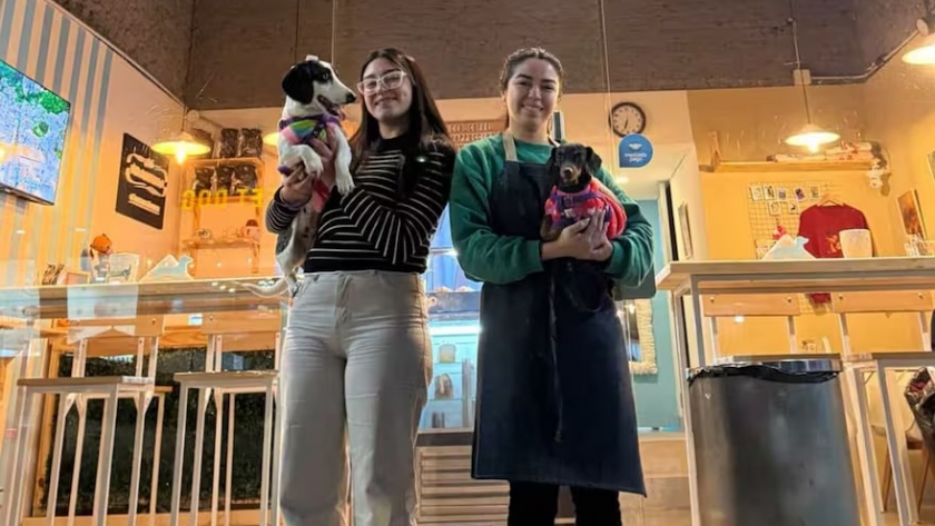 Emprendimientos argentinos que rompieron esquemas y triunfan con creatividad