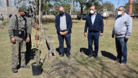 Por una ciudad sustentable: Corrientes fortalece la plantación de árboles
