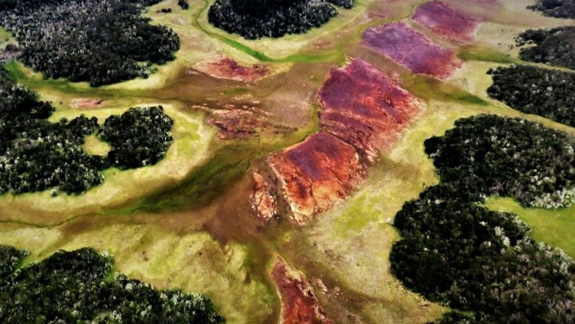 La Secretaría de Ambiente de la Provincia realiza actividades en el Día Mundial de los Humedales 