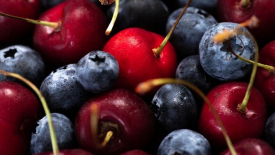 Exportaciones de frutas frescas de Chile alcanzan récord histórico en el primer semestre de 2024