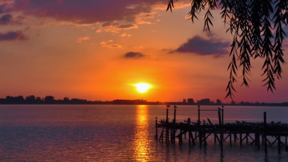 Escapada ideal: Chascomús combina pesca y vida tranquila