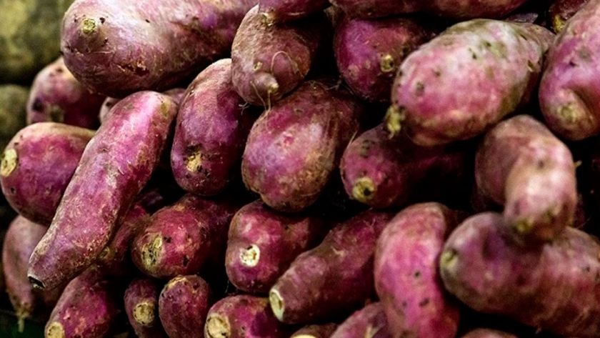 Simoca producirá dulce de batata con su marca ciudad
