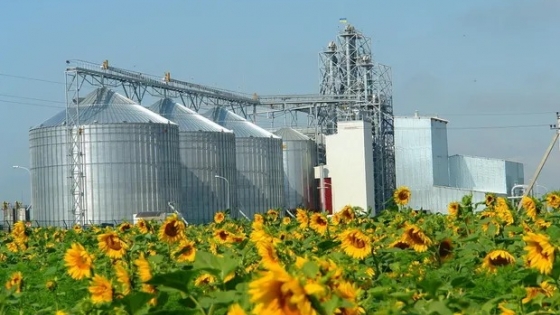 Récord en la industria aceitera: la molienda de girasol alcanzó su nivel más alto en 17 años