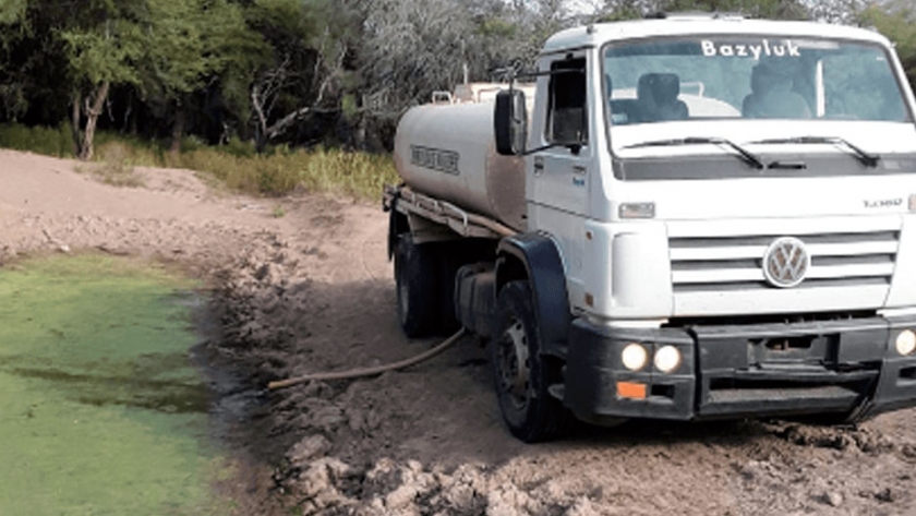 La falta de lluvias en Chaco se convirtió en un drama y las pérdidas ganaderas son incalculables
