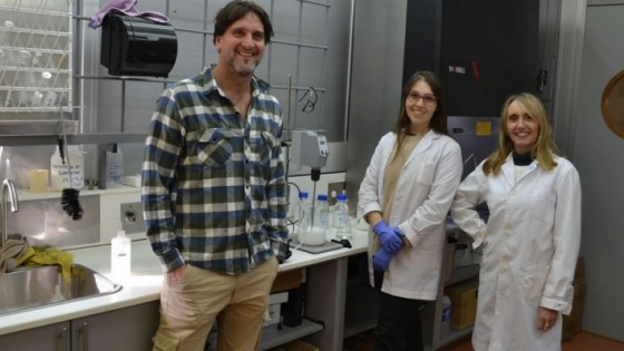 Nanotecnología aplicada al agro: desarrollan un fertilizante inteligente que promete mejorar la eficiencia de los cultivos