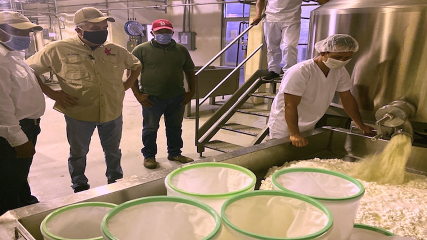 Venezuela cuenta con el índice de ordeño de ganado bufalino más grande de América Latina