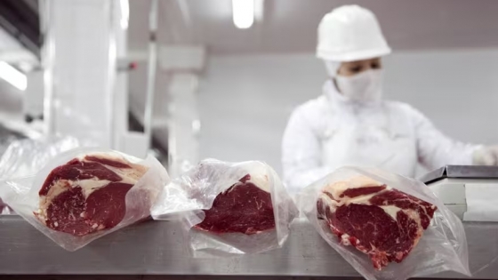 <Brasil se prepara para exportar más carne a China y los frigoríficos argentinos temen una baja de los precios precios internacionales