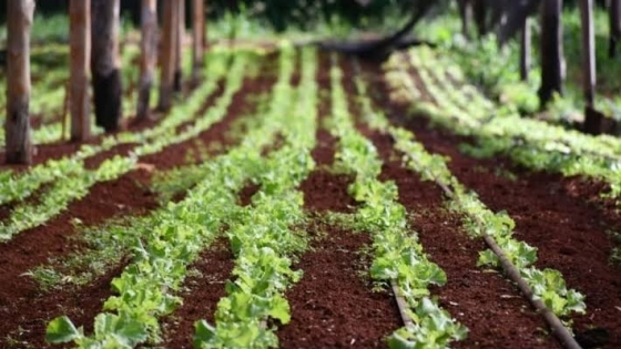 Eldorado impulsa rondas de negocios y agro y turismo