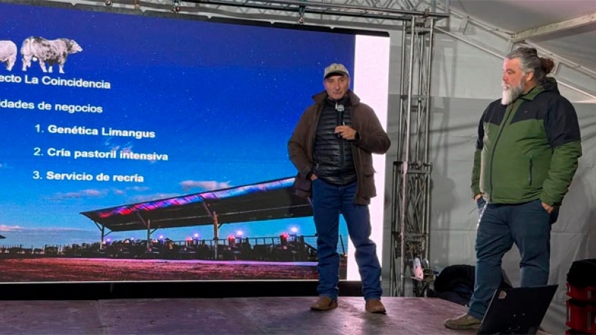 Genética, recría y manejo del pasto: el modelo que busca aumentar la producción de carne por hectárea