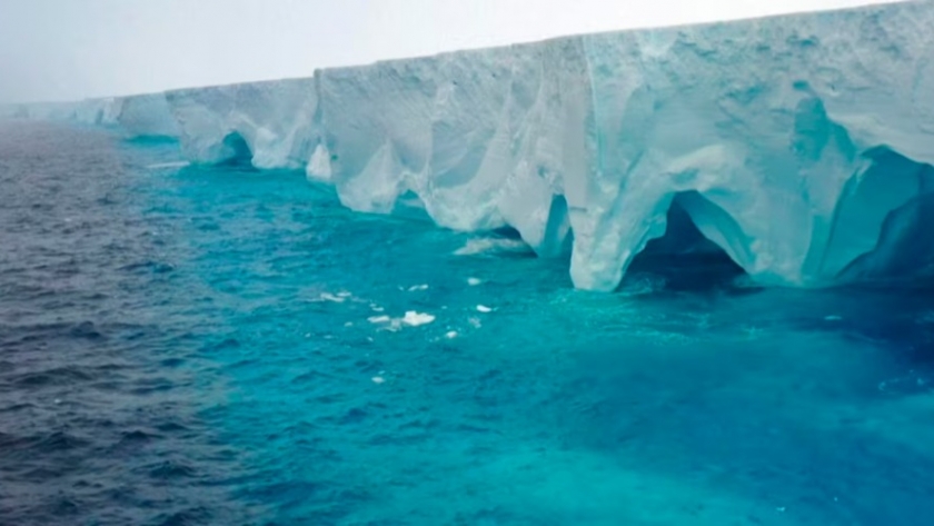 El mayor iceberg del mundo avanza hacia la Antártida y amenaza a la fauna marina