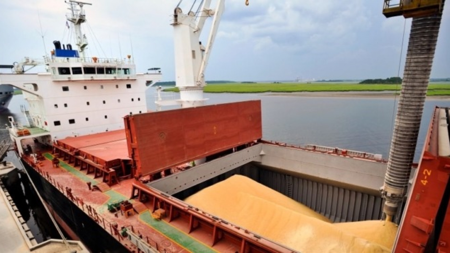 La baja comercialización de soja impulsa un récord de importaciones para abastecer a las fábricas
