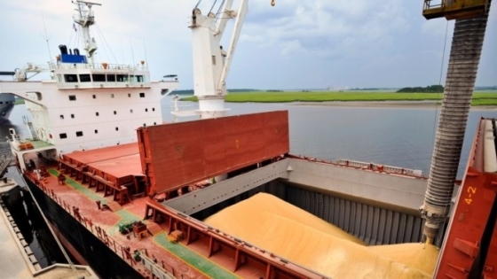 La baja comercialización de soja impulsa un récord de importaciones para abastecer a las fábricas