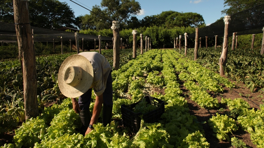 Producción participó de una nueva reunión de la comisión provincial de buenas prácticas agrícolas