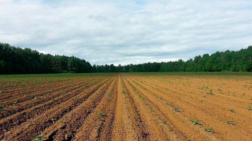 Desarrollo Agrario impulsa el rol de la juventud rural