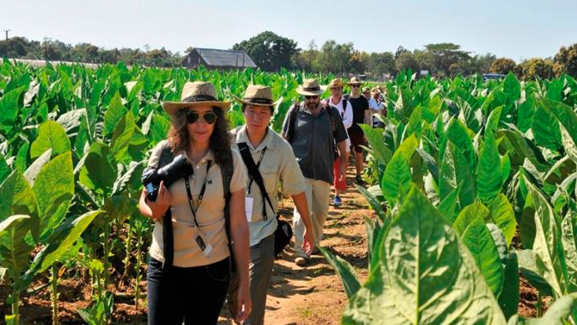 Agroturismo y desarrollo rural