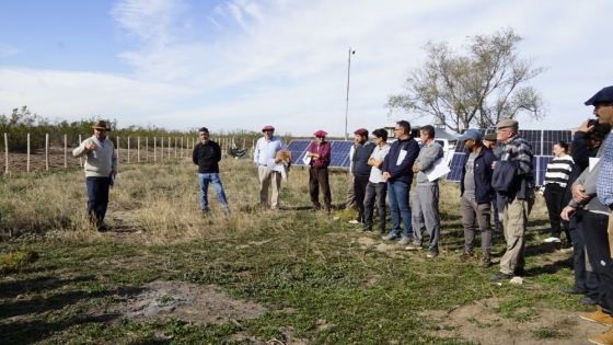 La Pampa impulsa soluciones productivas para el sur ganadero