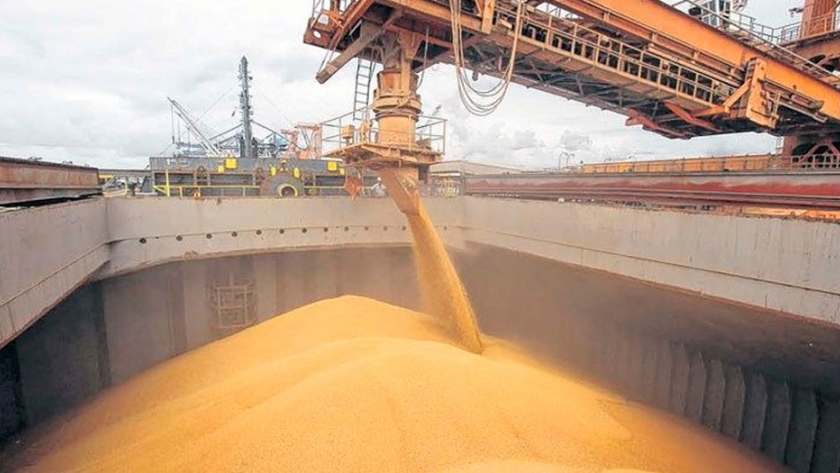 Por menor producción y exportación de soja, el Fisco recaudará u$s 1000 millones menos vía retenciones