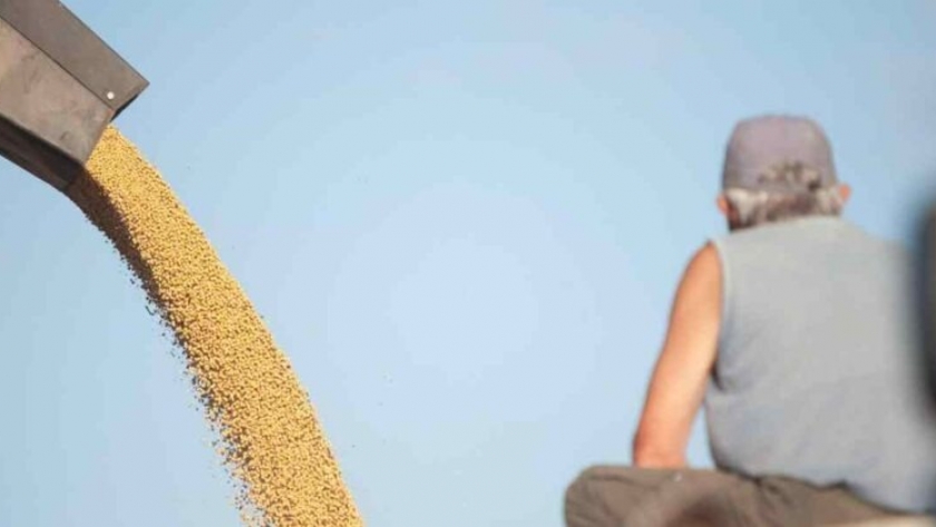 Argentina impulsa la trazabilidad de la soja para garantizar deforestación cero