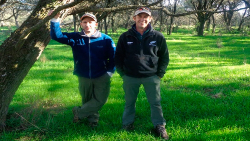 Cría intensiva en el monte de caldén