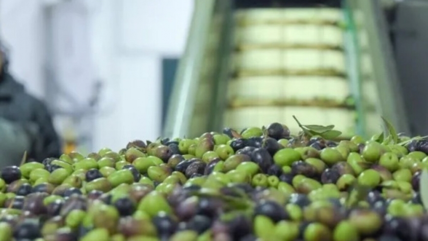La Cámara de Industriales Olivícolas de La Rioja brindó su apoyo a iniciativa del Gobernador para la aplicación de la cuasi moneda