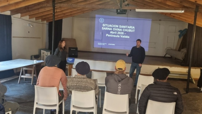 Refuerzan las medidas sanitarias para prevenir el avance de la sarna ovina en la Patagonia
