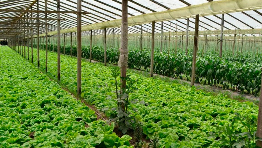 Buenos Aires aprobó proyectos agroecológicos por más de 57 millones de pesos