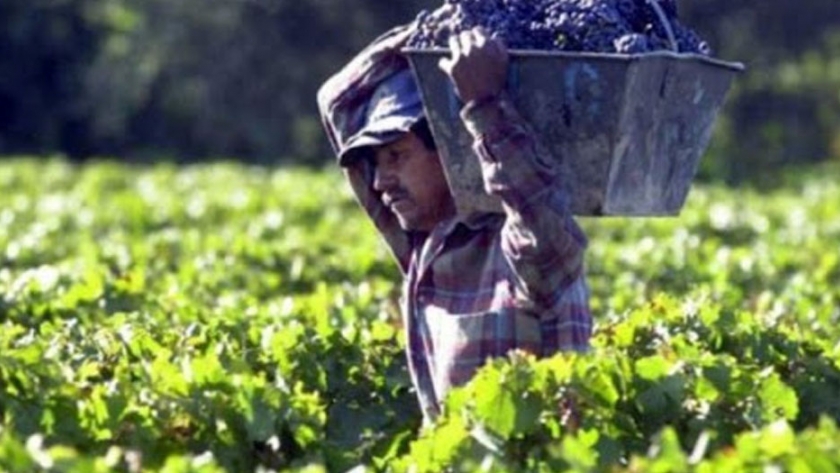 Economías Regionales: un trabajo técnico puso al descubierto las necesidades de las pymes agroelimentarias y tuvo una gran repercusión