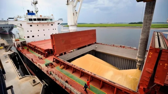Crecen las exportaciones agroindustriales argentinas: Asia lidera y China cede el podio