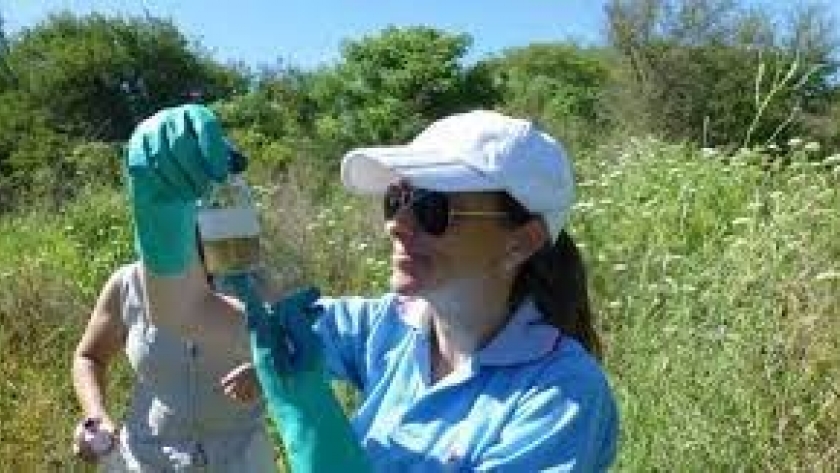 Avances en estudios de remediación de suelos agrícolas de la Argentina