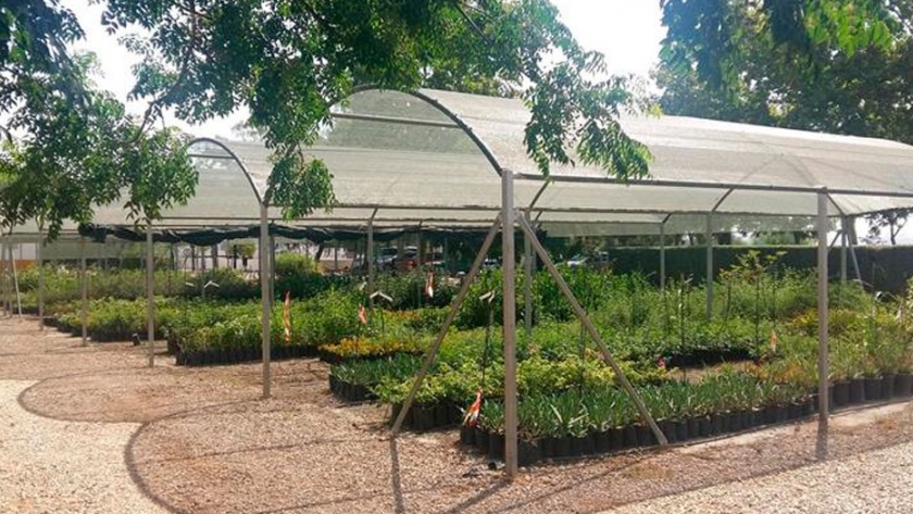 Jardinería y paisajismo cordobés sostenible