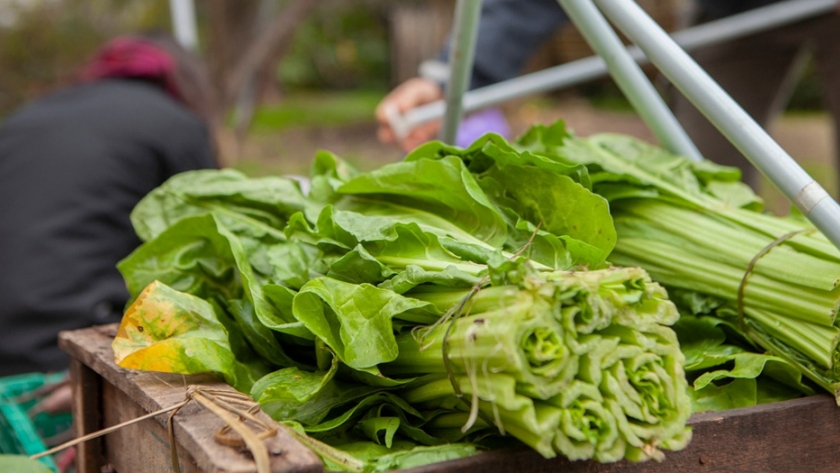 San Luis: Propician agregado de valor en origen en la producción de alimentos