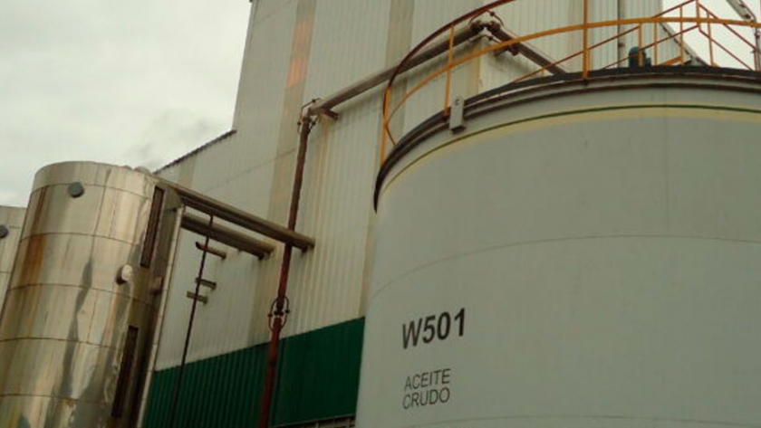 Un informe del USDA proyecta que en la próxima década el Mercosur seguirá consolidándose como líder en el comercio mundial de soja en desmedro de EE.UU