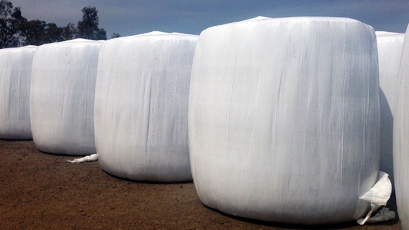 Ensilaje de buena calidad