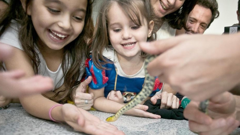La Semana Nacional de la Ciencia y la Tecnología llega a tu casa