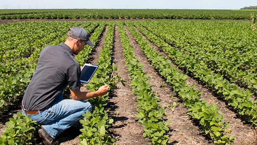 Los algoritmos, un camino con soluciones ante los obstáculos de la sequía